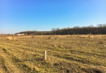 BANEASA - PISCUL NOU, teren intravilan ( COMISION 0% )