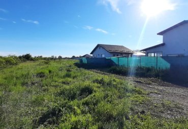 Otopeni - strada Ciprian Porumbescu, teren extravilan 3812 mp, ideal investitie.